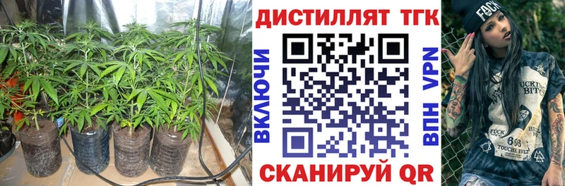 где купить наркотик  Краснокаменск  ТГК Wax 