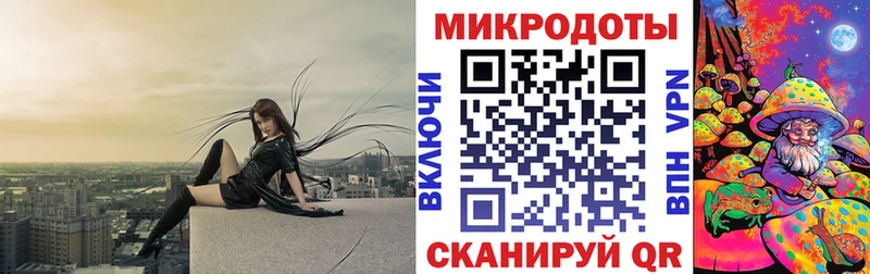Псилоцибиновые грибы Psilocybe Краснокаменск